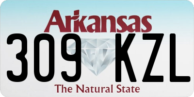 AR license plate 309KZL