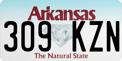 AR license plate 309KZN