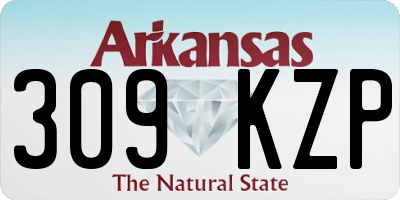 AR license plate 309KZP