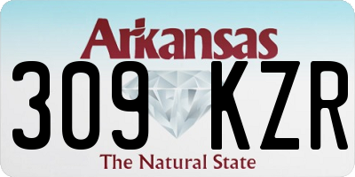 AR license plate 309KZR