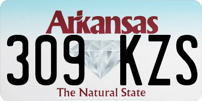 AR license plate 309KZS