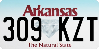 AR license plate 309KZT
