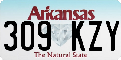 AR license plate 309KZY