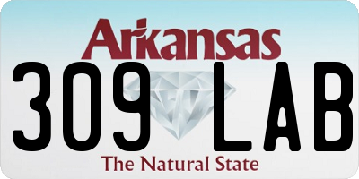 AR license plate 309LAB