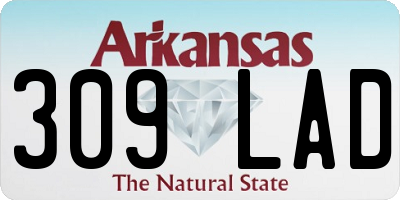 AR license plate 309LAD