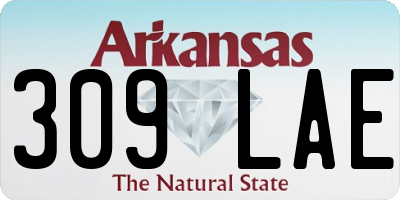 AR license plate 309LAE