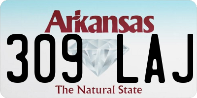 AR license plate 309LAJ