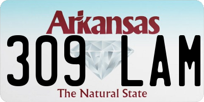 AR license plate 309LAM