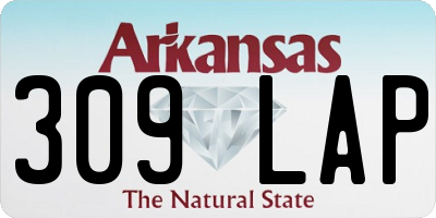 AR license plate 309LAP