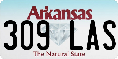 AR license plate 309LAS