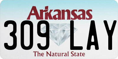 AR license plate 309LAY