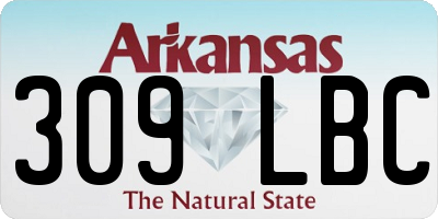 AR license plate 309LBC