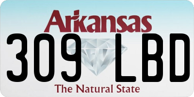 AR license plate 309LBD
