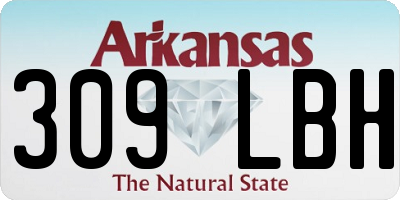 AR license plate 309LBH