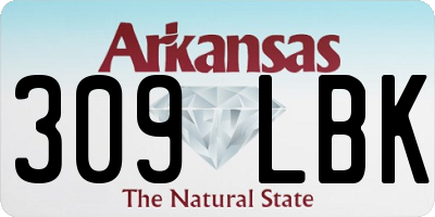 AR license plate 309LBK
