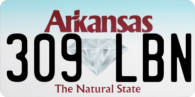AR license plate 309LBN