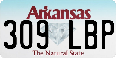 AR license plate 309LBP