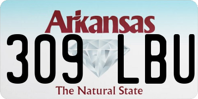 AR license plate 309LBU