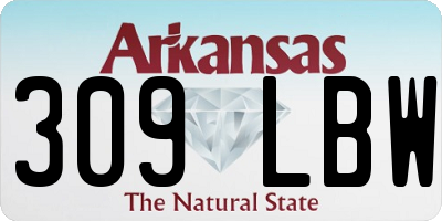 AR license plate 309LBW