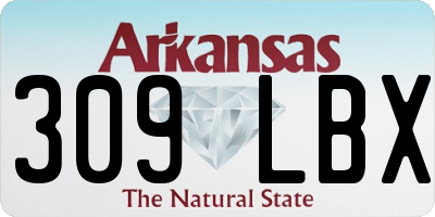 AR license plate 309LBX