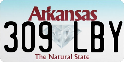 AR license plate 309LBY