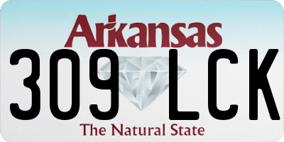 AR license plate 309LCK
