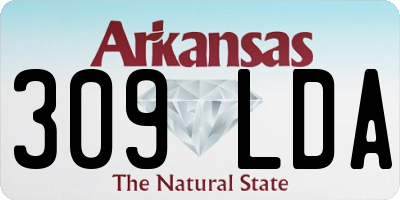 AR license plate 309LDA