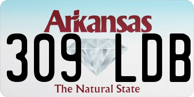 AR license plate 309LDB