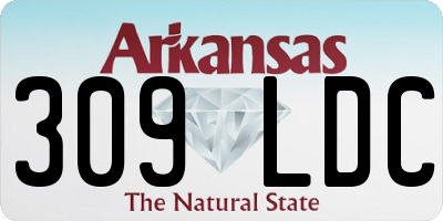 AR license plate 309LDC