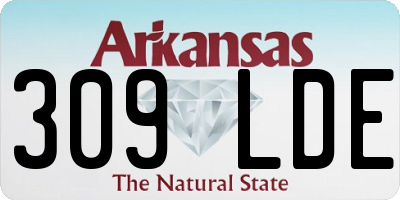 AR license plate 309LDE