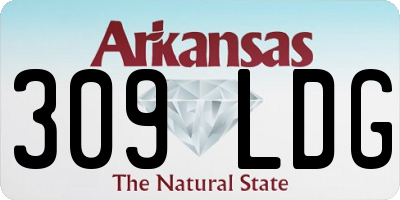 AR license plate 309LDG