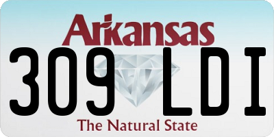AR license plate 309LDI