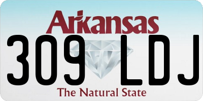 AR license plate 309LDJ