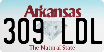 AR license plate 309LDL