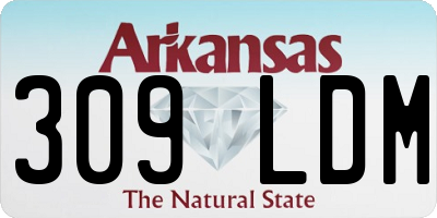 AR license plate 309LDM