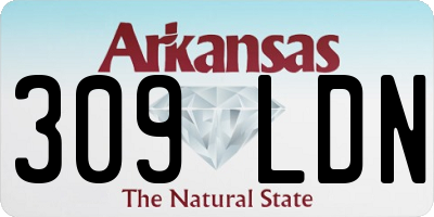 AR license plate 309LDN