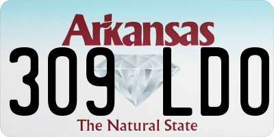 AR license plate 309LDO