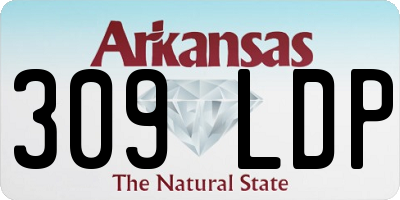 AR license plate 309LDP