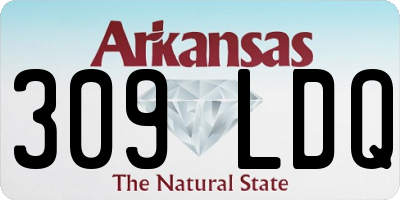 AR license plate 309LDQ