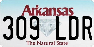AR license plate 309LDR