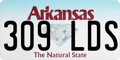 AR license plate 309LDS
