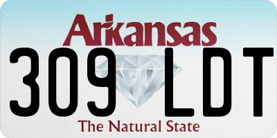AR license plate 309LDT