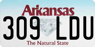 AR license plate 309LDU