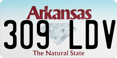 AR license plate 309LDV