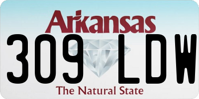 AR license plate 309LDW
