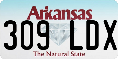 AR license plate 309LDX