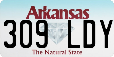 AR license plate 309LDY