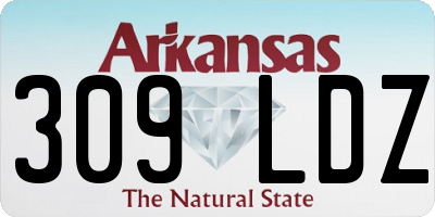 AR license plate 309LDZ