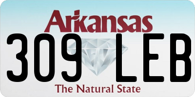 AR license plate 309LEB