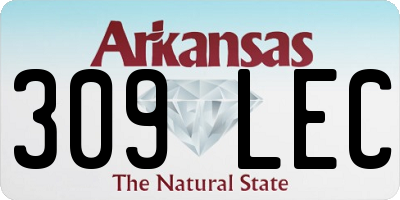 AR license plate 309LEC